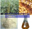 Soybean Extract, Soybean P.E. 
